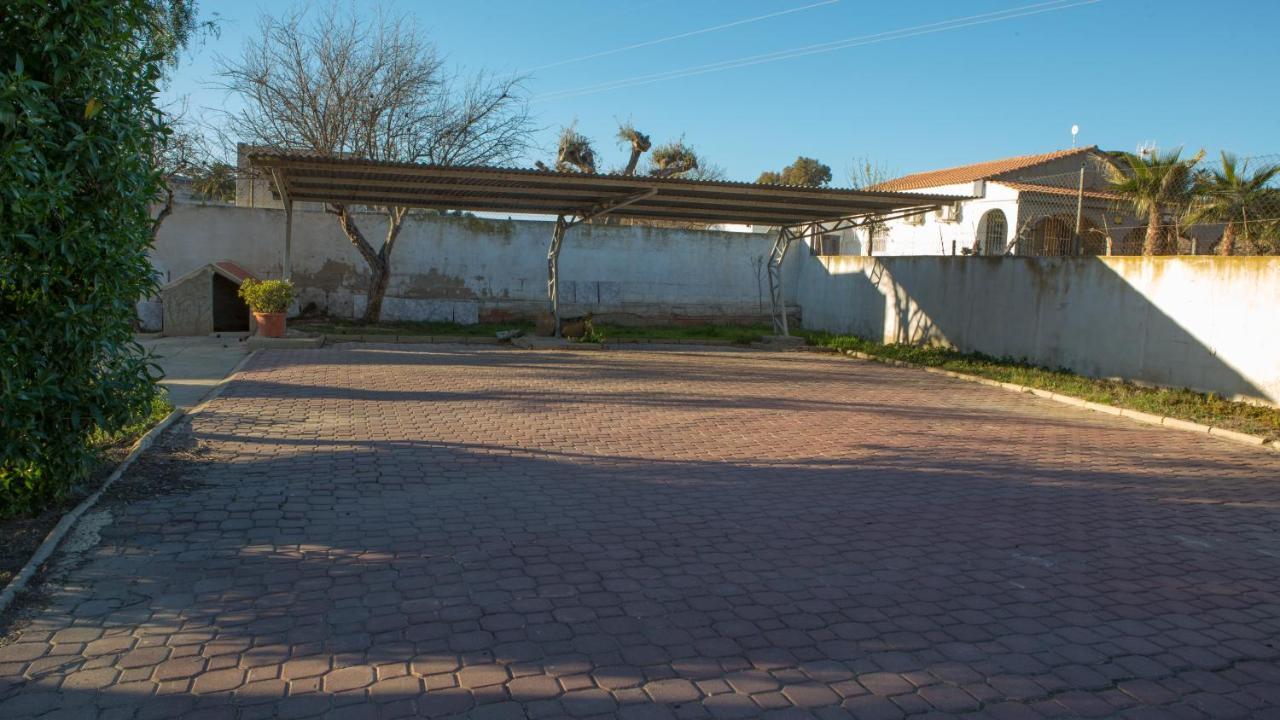Estudio Adosado Con Jardin Y Parking Privado Alicante Buitenkant foto
