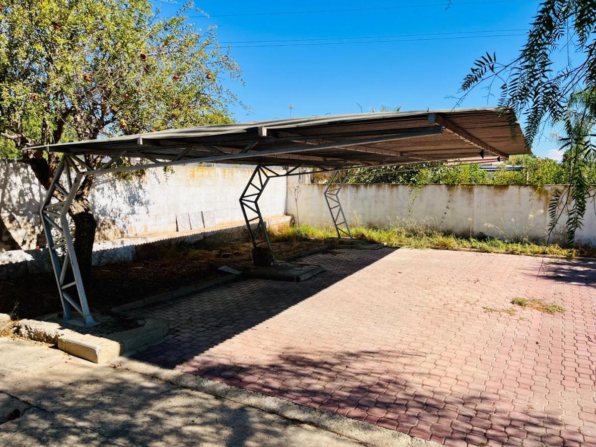 Estudio Adosado Con Jardin Y Parking Privado Alicante Buitenkant foto