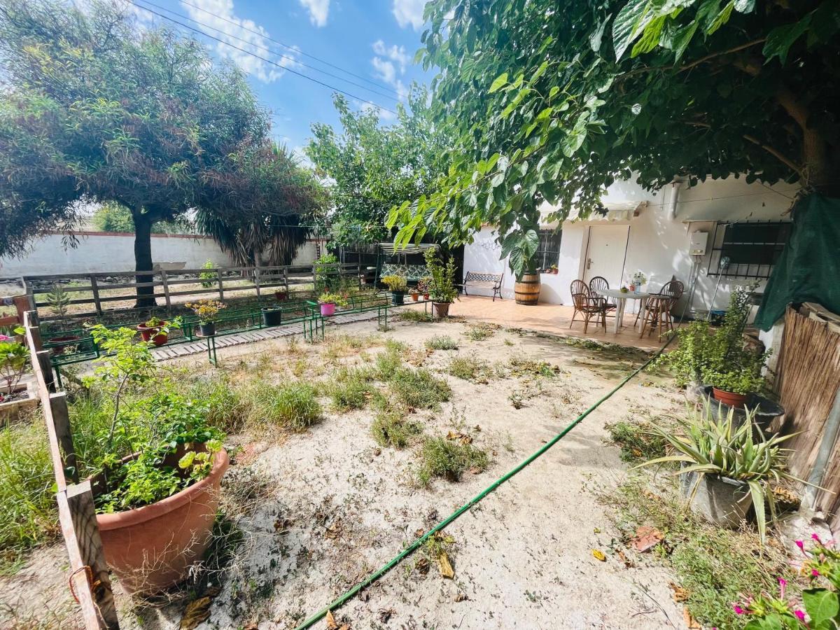 Estudio Adosado Con Jardin Y Parking Privado Alicante Buitenkant foto