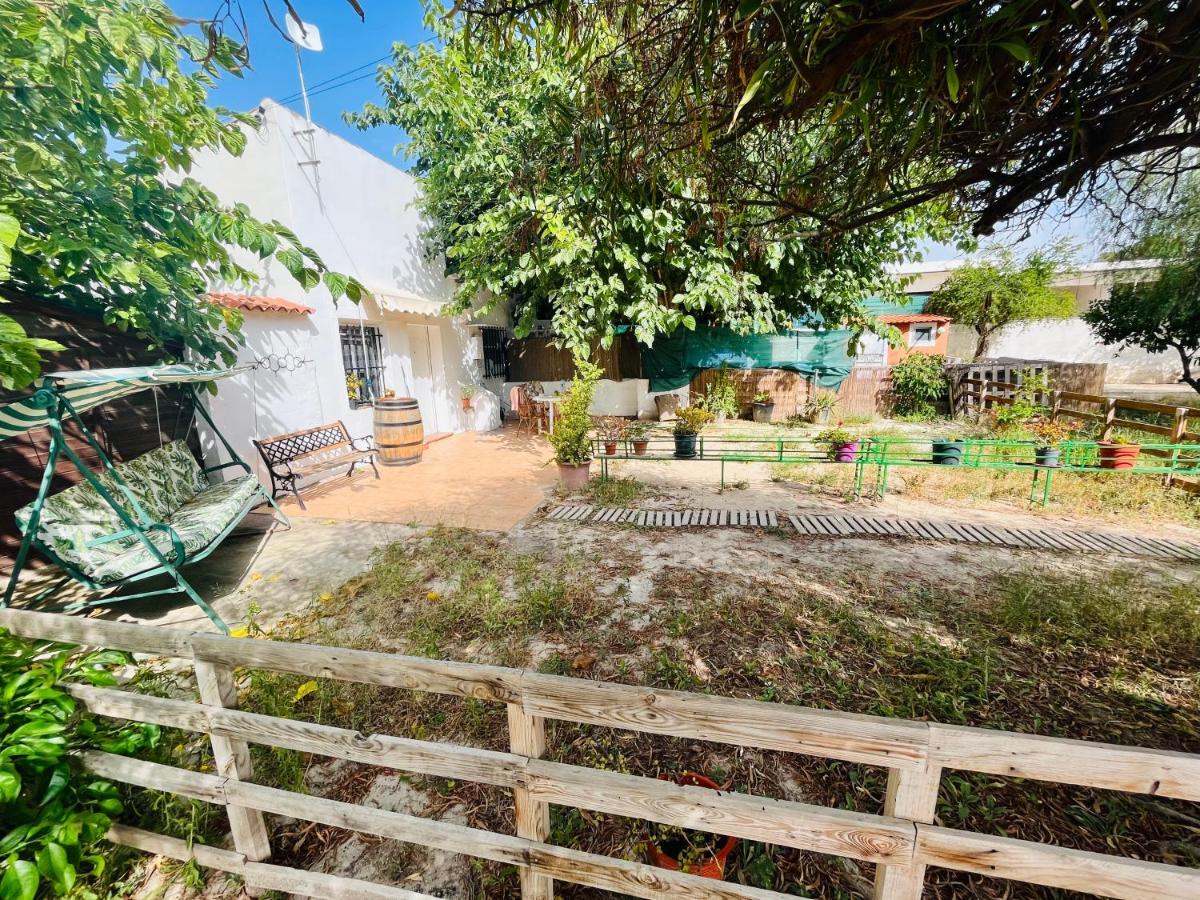 Estudio Adosado Con Jardin Y Parking Privado Alicante Buitenkant foto